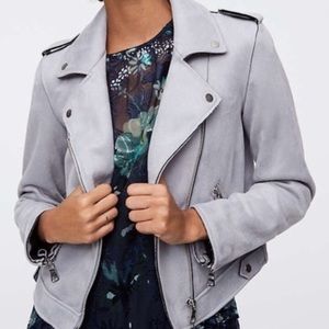 BRAND NEW LOFT Suede Moto Jacket (Light Blue, 8)